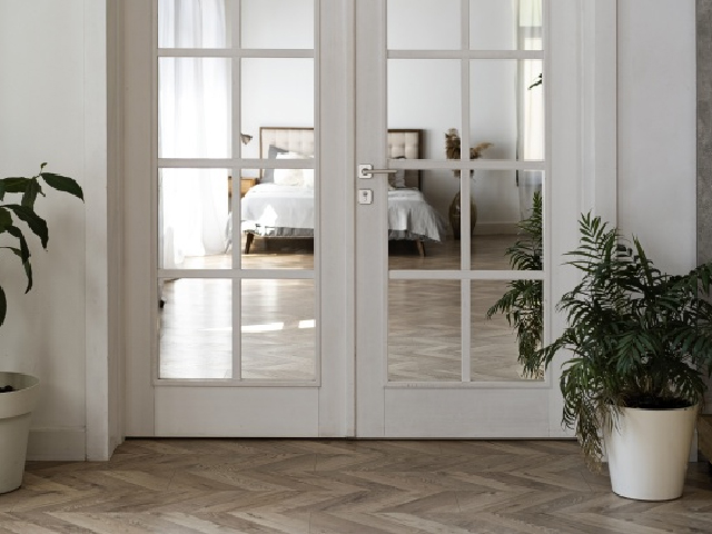 Fineza Puerta, Ягуар