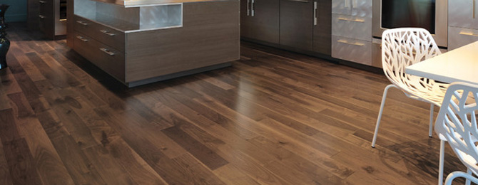 banner-1-670x260.jpg