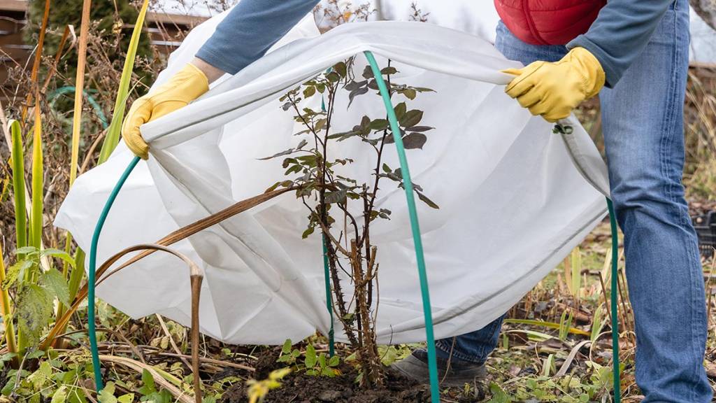 Готовим дачу к зиме