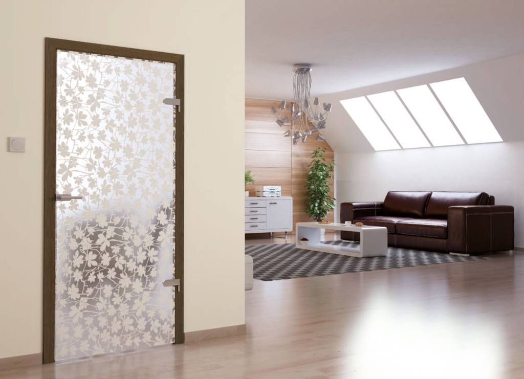 Светопрозрачные двери